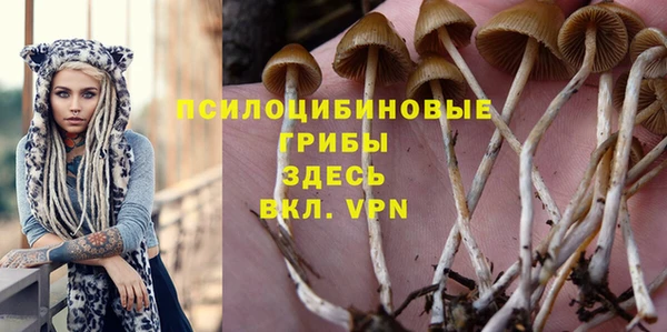 соль курить ск Аркадак