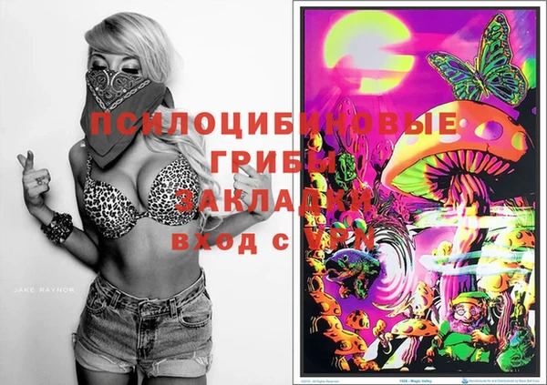 соль курить ск Аркадак